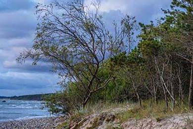 亚洲杯中国足球惨败 球迷呼吁提升青训质量，亚洲杯中国足球队赛程