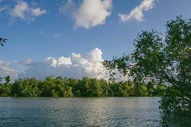 亚洲杯中国足球惨败 球迷呼吁提升青训质量，亚洲杯中国足球队赛程