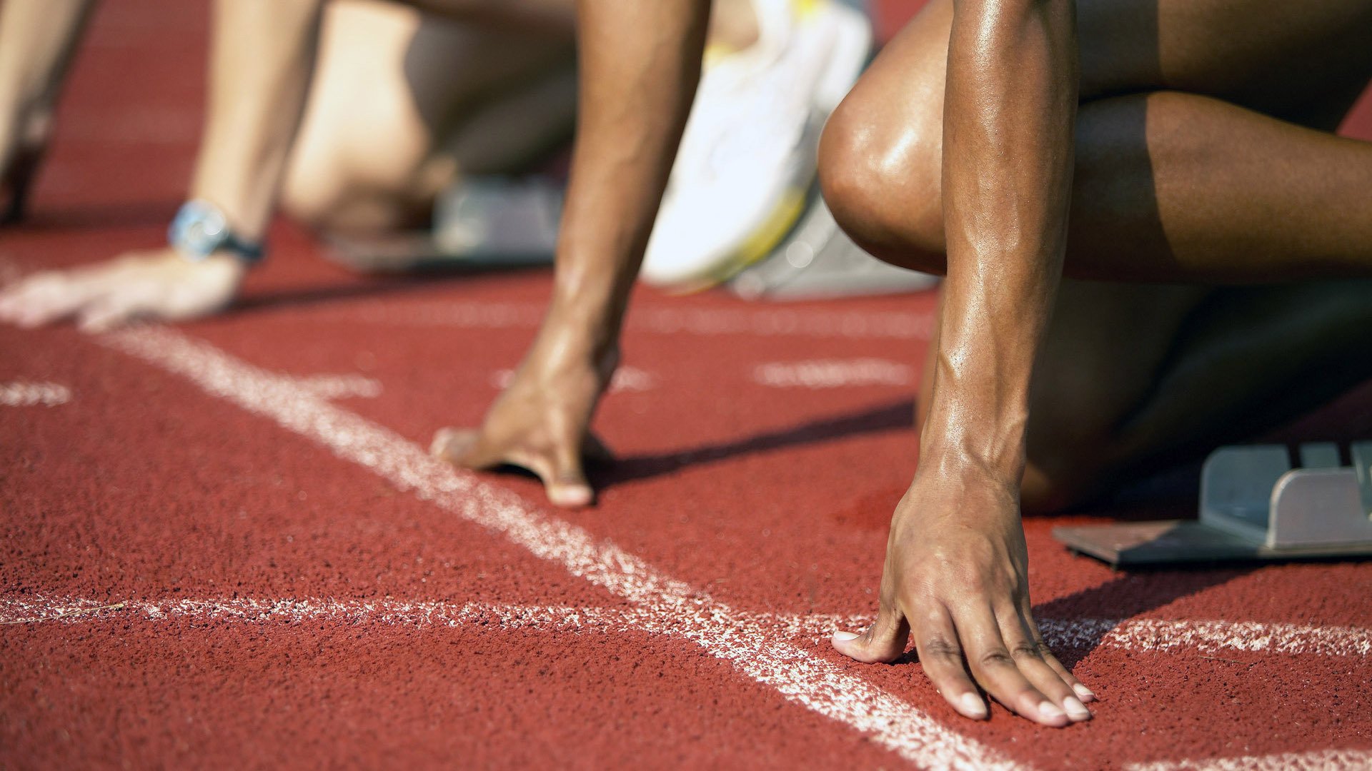 新型球场草坪启用，提升比赛质量，球场草坪养护